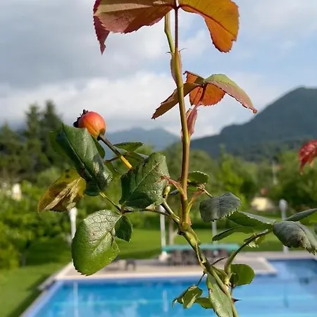 Aparthotel Beyaz Koesk *