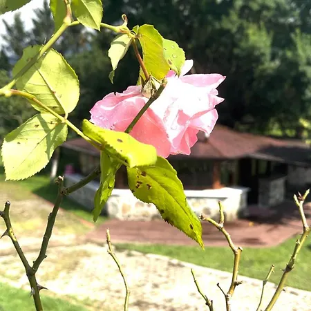 Beyaz Koesk Apartahotel