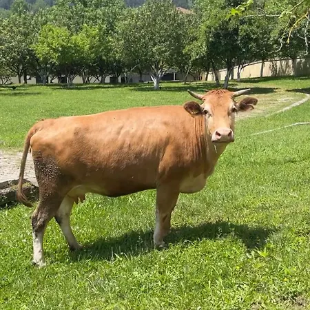 Aparthotel Beyaz Koesk Geyve