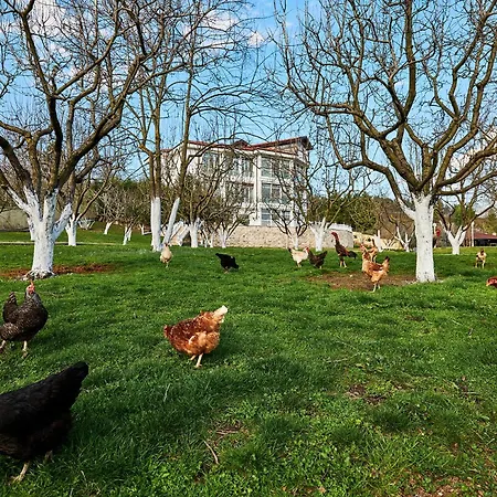 Apartahotel Beyaz Koesk Geyve